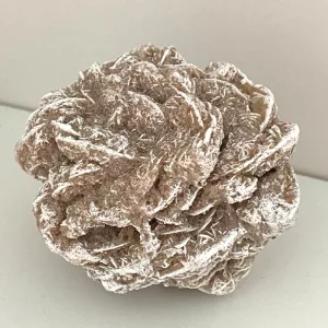 Desert Rose large raw specimen