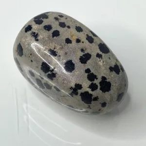 Dalmation Jasper tumble stone